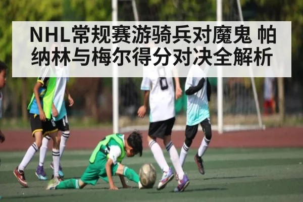 NHL常规赛游骑兵对魔鬼 帕纳林与梅尔得分对决全解析